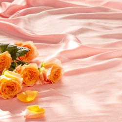 台北艾麗精選活動 - LA FARFALLA白色情人節雙人饗宴