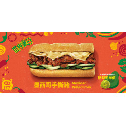 SUBWAY - 世界墨日