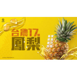 大苑子優惠活動 - ?【鳳梨控集合！03-16鳳梨系列全台門市開賣】