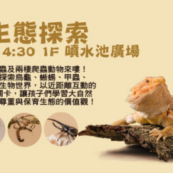 Big City 遠東巨城 - 昆蟲生態探索