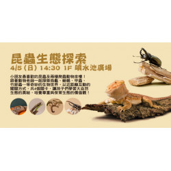 Big City 遠東巨城 - 昆蟲生態探索