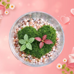 遠東百貨 - 【嘉義】苔愛你了