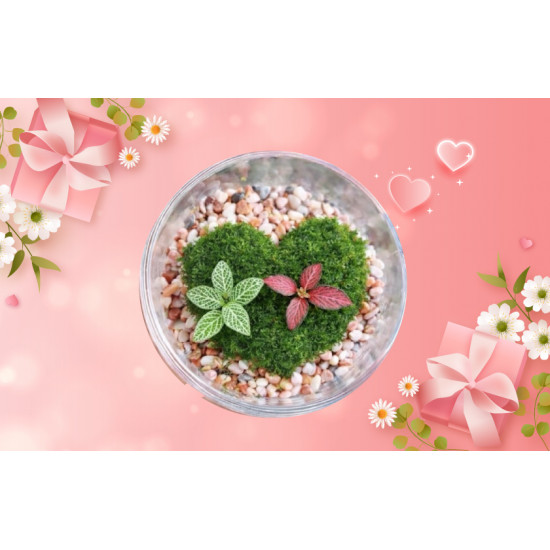 遠東百貨 - 【嘉義】苔愛你了