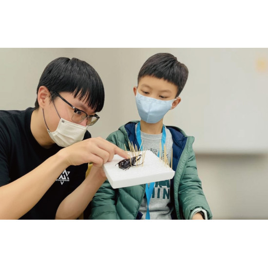 遠東百貨 - 【新竹】\甲蟲標本DIY/