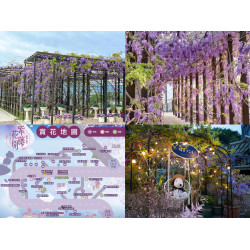 【2025嘉義瑞里紫藤花季】花況/賞花時間/景點/餐廳住宿/交通整理