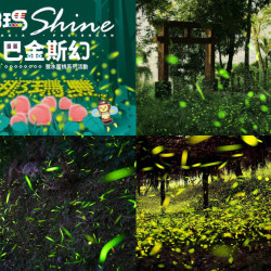 【2025那瑪夏螢火蟲季】高雄賞螢時間/門票/套裝行程/住宿/交通一次看！