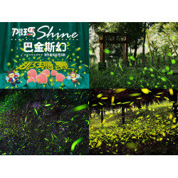 【2025那瑪夏螢火蟲季】高雄賞螢時間/門票/套裝行程/住宿/交通一次看！