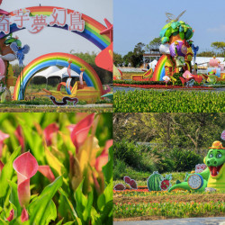 【2025桃園彩色海芋季】時間/門票/接駁車/停車，溪海農業區免費賞花！