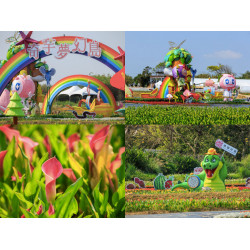 【2025桃園彩色海芋季】時間/門票/接駁車/停車，溪海農業區免費賞花！