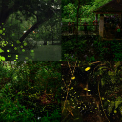 【2025台北螢火蟲季】時間地點/免費賞螢活動/導覽/地圖一次看！