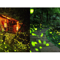 【2025新北螢火蟲季】時間地點/50處賞螢景點/免費導覽活動一次看！