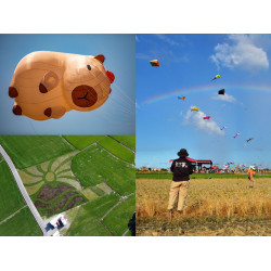 【2025冬山風箏節】時間地點/三奇美徑活動/接駁車/交通一次看！