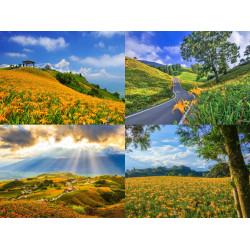 【2025花蓮金針花季】赤科山/六十石山花況/景點/交通管制一次看！