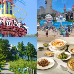 【2025軍人節優惠】餐廳/景點住宿/電信/家電/各縣市活動一次看！