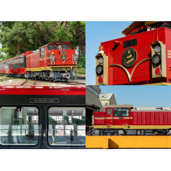 【阿里山森里號】火車路線/車票價格/時刻表/訂票/車廂特色整理