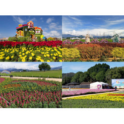 【2025台中花毯節】時間地點/新社花海活動/接駁車/交通停車/展區地圖，免費入場！