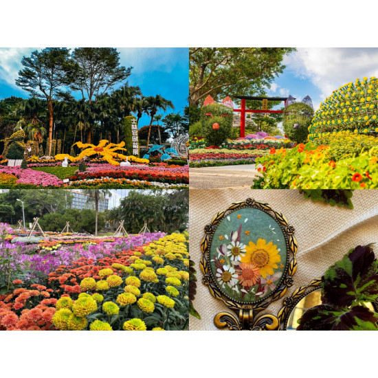 【2025士林官邸菊花展】展出日期/門票/店家優惠活動/交通，免費賞花！