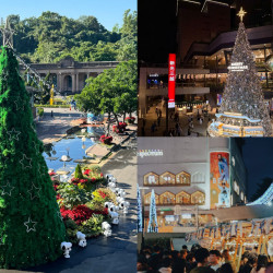 【2025台北聖誕節活動】聖誕樹/市集/演唱會/音樂會/集章活動一次看！