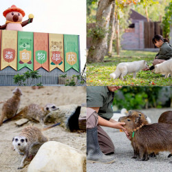 【高雄內門動物園】野森動物學校開放時間/預約購票/門票優惠/交通整理
