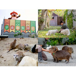 【高雄內門動物園】野森動物學校開放時間/預約購票/門票優惠/交通整理