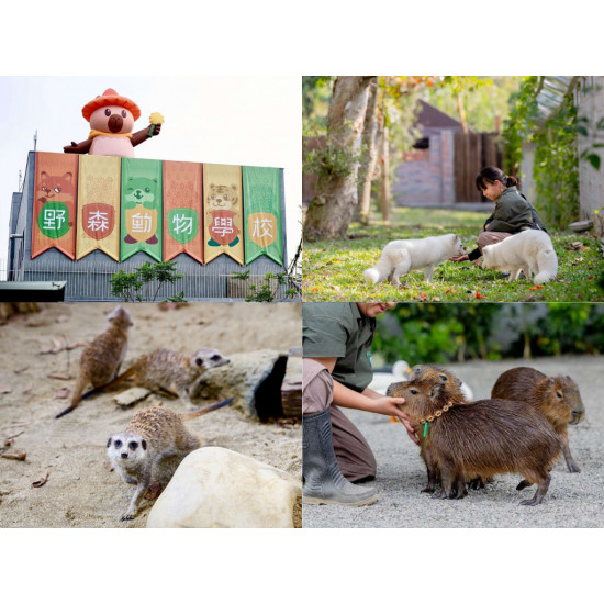【高雄內門動物園】野森動物學校開放時間/預約購票/門票優惠/交通整理