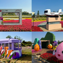 【2026桃園彩色海芋季】時間地點/門票/活動/交通，溪海農業區登場！