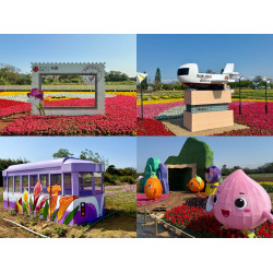 【2026桃園彩色海芋季】時間地點/門票/活動/交通，溪海農業區登場！