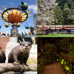 【2026兒童清明連假活動】免費景點/展覽/賞花賞螢/遊樂園優惠一次看！