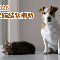 【2026犬貓結紮補助】免費絕育/寵物登記/狂犬病疫苗申請資訊(115年)
