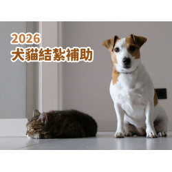 【2026犬貓結紮補助】免費絕育/寵物登記/狂犬病疫苗申請資訊(115年)