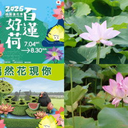 【2026桃園蓮花季】時間地點/花況/活動/交通，觀音蓮花園登場！