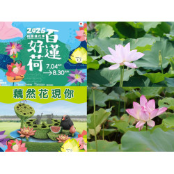 【2026桃園蓮花季】時間地點/花況/活動/交通，觀音蓮花園登場！