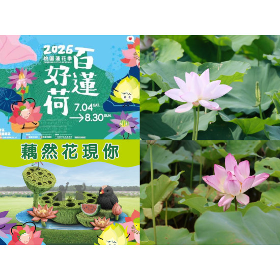【2026桃園蓮花季】時間地點/花況/活動/交通，觀音蓮花園登場！