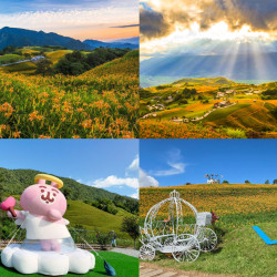 【2026花蓮金針花季】赤科山.六十石山花況/花開時間/活動/交通管制一次看！