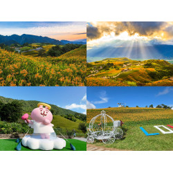 【2026花蓮金針花季】赤科山.六十石山花況/花開時間/活動/交通管制一次看！