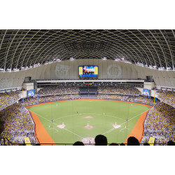 【2024世界棒球12強賽】台灣賽程/門票/中華隊名單/轉播/免費看整理