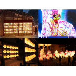 【2025台北燈節】燈會時間地點/主燈秀/表演活動/地圖/交通整理