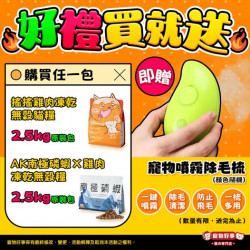 寵物好事-貓の專門店 羨慕別人家的貓咪有閃閃動