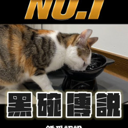 毛孩市集 【黑嚕嚕罐罐組|魔法黑貓 毛孩市集 【黑嚕嚕罐罐組|魔法黑貓