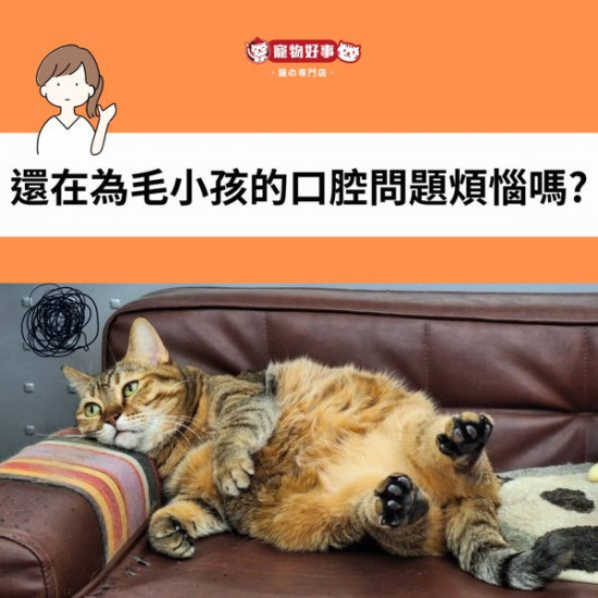 寵物好事-貓の專門店 4/25~5/25期間限