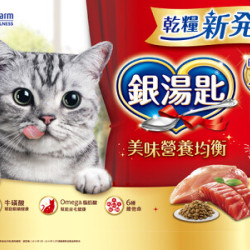 貓奴瘋搶的夢幻乾糧！連續十年日本銷售NO.1銀湯匙貓乾糧新登場，滿足肉食天性的美味公式， 主子再挑嘴也被征服！