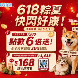 618粽夏快閃活動！