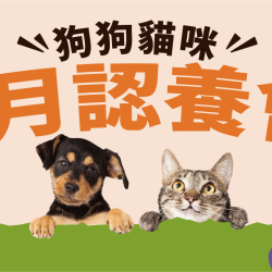 【門市認養會】7月認養成功再送：嫁妝包（價值超過2000元） 收編毛茸茸的幸福❤️