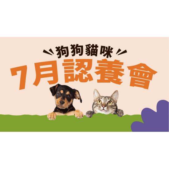 【門市認養會】7月認養成功再送：嫁妝包（價值超過2000元） 收編毛茸茸的幸福❤️