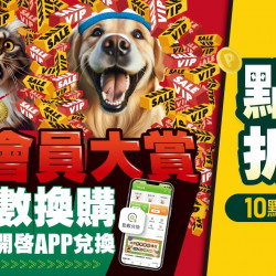 【門市限定｜點數換購】聯名乖乖包 熱烈開賣！最低259元起！