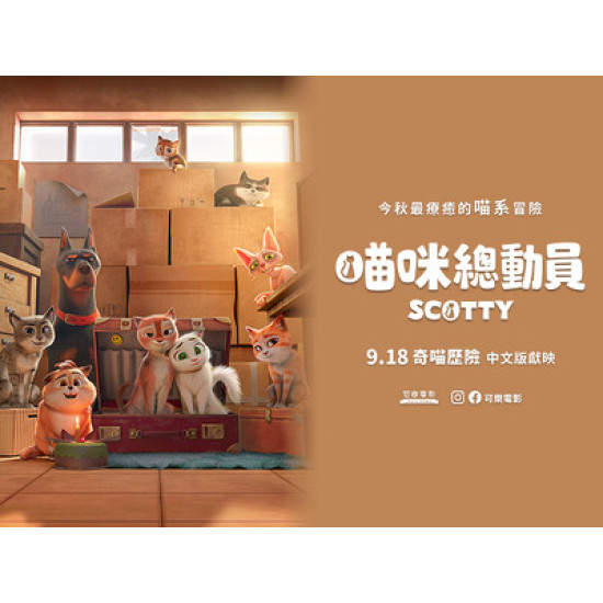 【粉絲福利】最療癒喵系冒險《喵咪總動員》9/18 上映！來抽電影票，東森寵物送你進戲院！