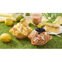 首度聯名立頓！醇厚乳香「茶歐蕾浪漫曲」；酸甜回歸「香檸交響曲」清爽檸檬冰