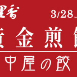 黃金煎餃~新上市