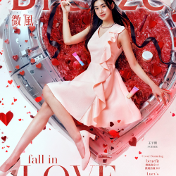 微風浪漫情人520