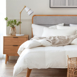 HOLA 專業睡眠專刊-電子型錄DM